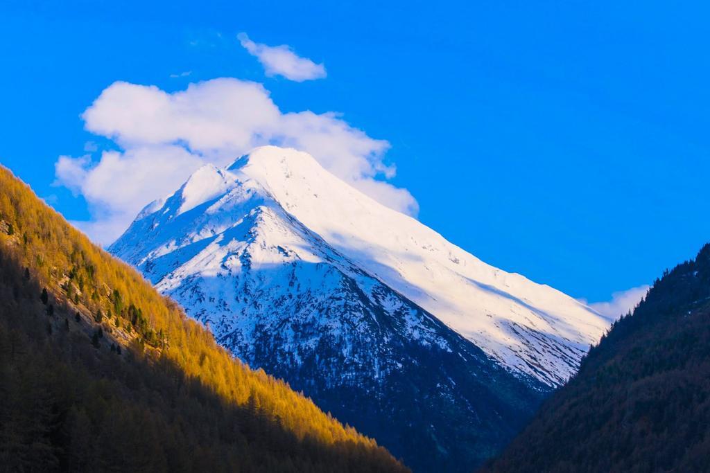 Apartament Monte Rosa Saas-Grund Zewnętrze zdjęcie